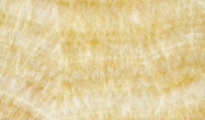 Golden Onyx (Голден Оникс)